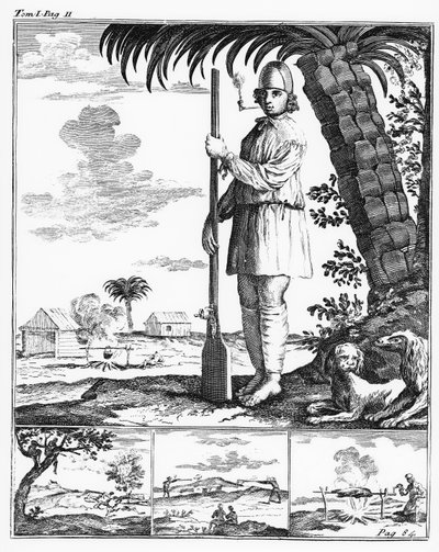 Buccaneer in the West Indies by French School